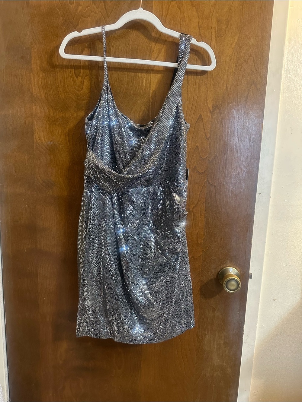 Express Silver Sequin Mini Dress